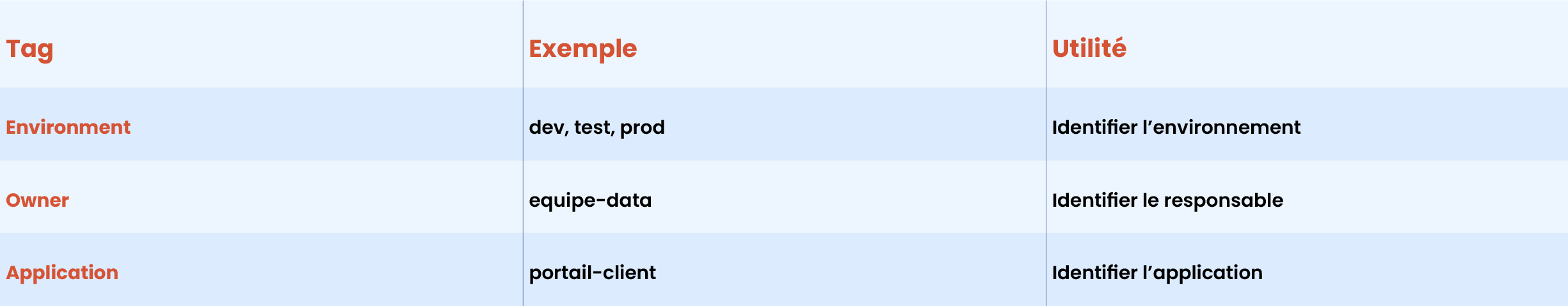 Table with three columns: Tag, Exemple, Utilité; rows for Environment, Owner, Application showing examples and French meanings.